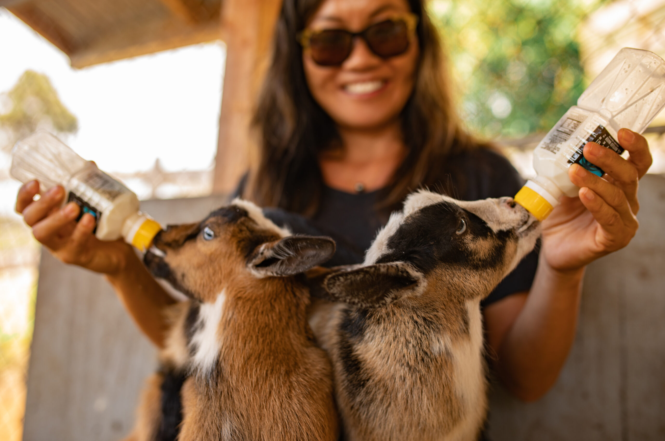 Bottle Feeding Baby Goats!